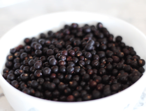 Bowl of Elderberry