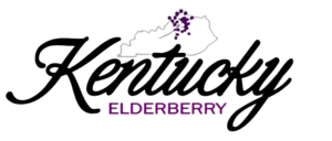 Kentucky Elderberry