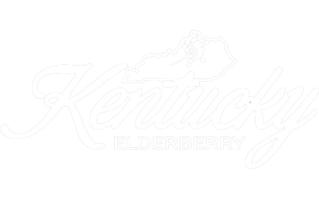 Kentucky Elderberry White