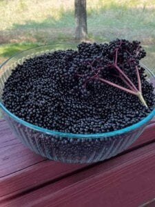 Elderberries