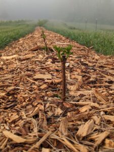 9 PXL_20230429_114949401