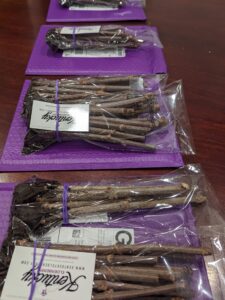 7 PXL_20240103_032948434