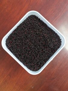 8 PXL_20240721_205937134